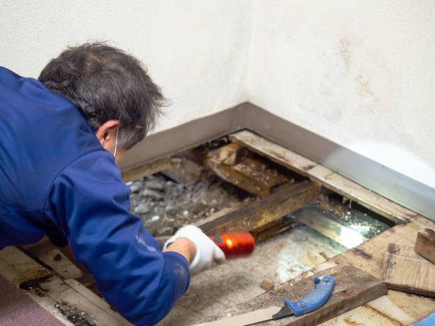 Best Post-Remediation Services in Brice Prairie, WI