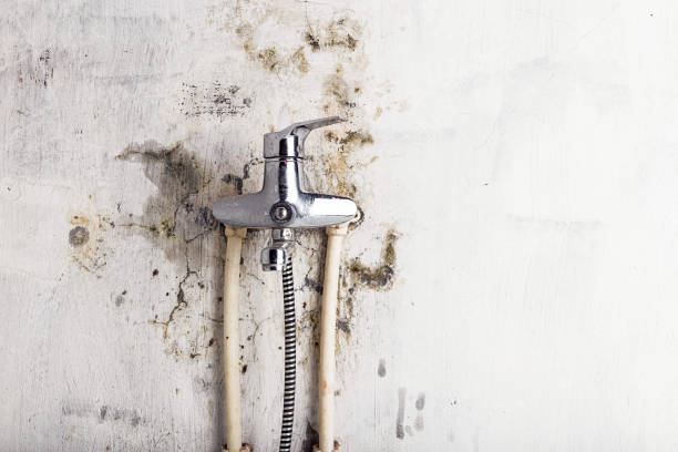 Best Industrial Mold Remediation in Brice Prairie, WI