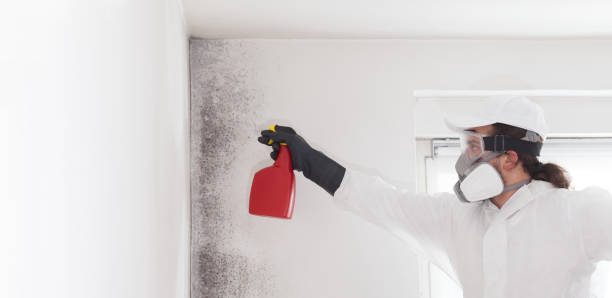 Best Mold Testing and Inspection Services in Brice Prairie, WI